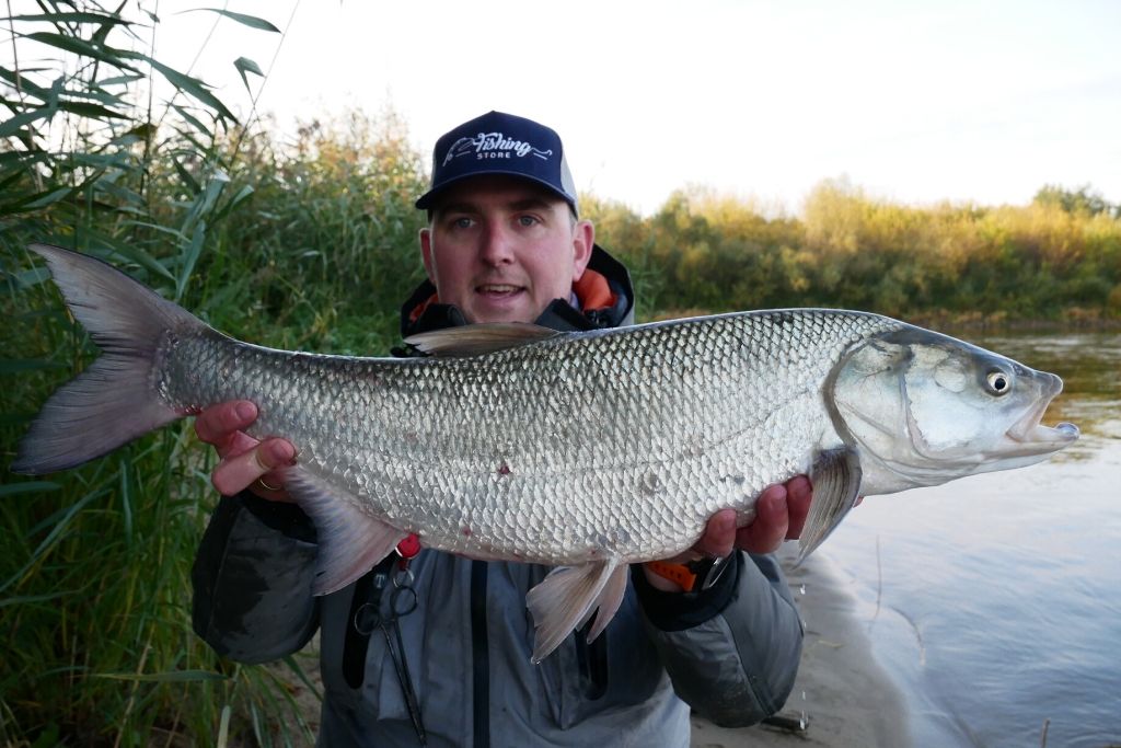 Shimano Stradic FL na bolenie