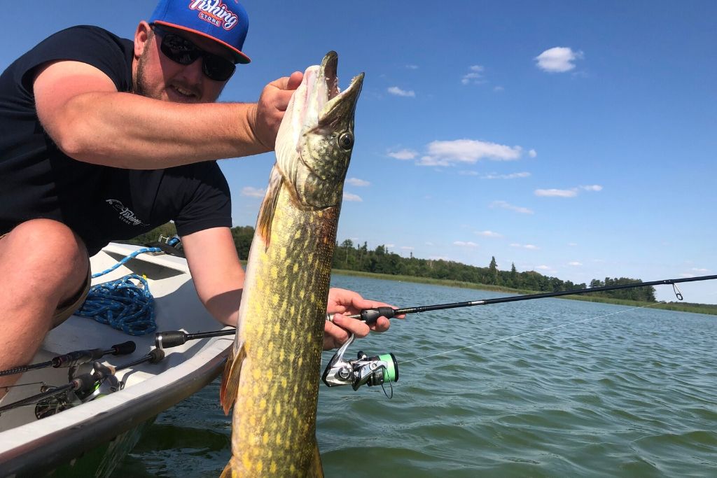 Kołowrotek do Shimano Stradic FL