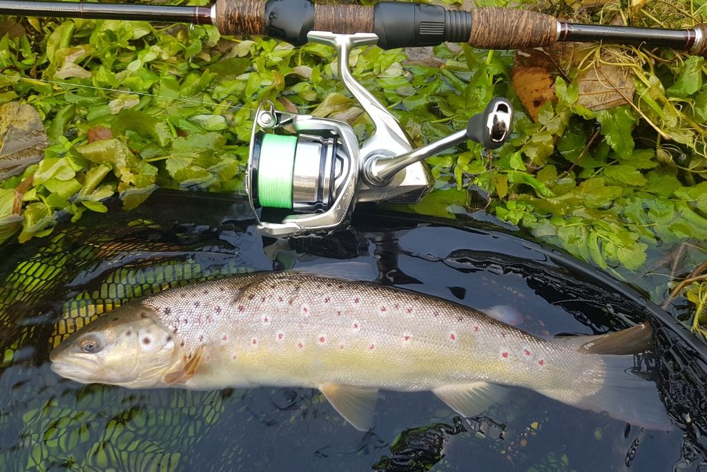 Wędka Shimano Stradic FL