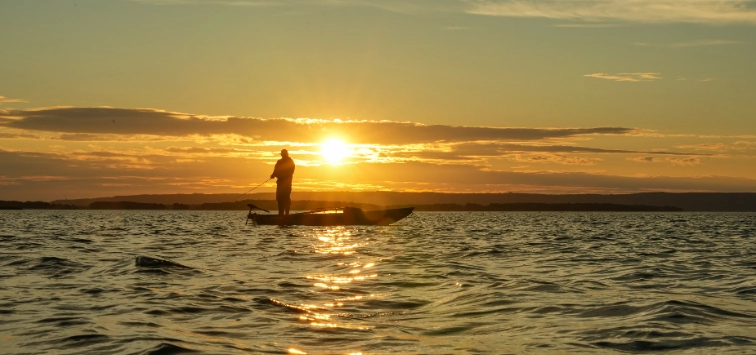 Newsletter FishingStore
