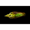 Guma Savage Gear Ned Craw 6,5cm | Black & Red | 4 szt.