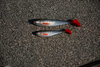 Guma Fox Rage Zander Pro Shad 10cm | Natural Roach