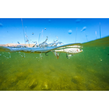 Przynęta Berkley Choppo 75 7,5cm | HD Golden Shiner