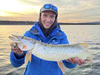 Guma Mikado MFT Roach 8cm Natural Perch