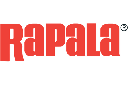 .Wobler Rapala BX Minnow 10cm | GSH