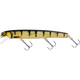 3D Amber Perch