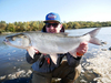 Wobler Salmo Thrill 5cm | Olive Bleak | tonący