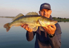Guma Fox Rage Zander Pro 16cm | Hot Olive UV