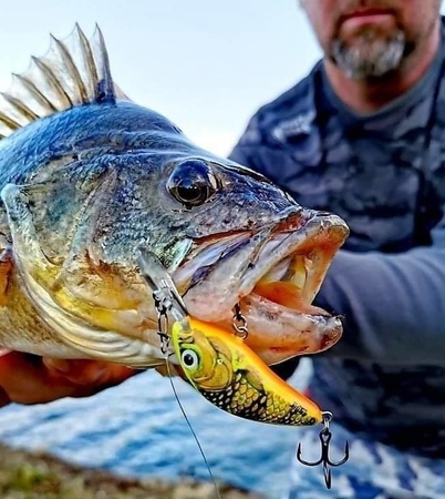 Wobler Salmo Hornet 4cm | Holo Green Tiger | pływający