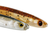 ..Guma Westin KickTeez Shadtail 15cm - Green Tomato