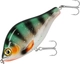 Perch