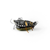 Wobler Imago Lures Maybug 2,5cm Flow - pływający - BK