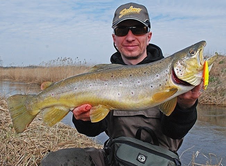 Wobler Salmo Minnow 7cm | Spirlin | tonący