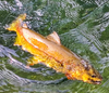 Przynęta Libra Lures Flex Worm 9cm | 040 - Black | brak zapachu | 10 szt.