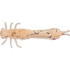 Guma Westin Odonata Ned Creaturebait 6,5cm | UV Shrimp | 4 szt.