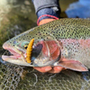 Przynęta Libra Lures Larva 4.5cm | 017 - Bubble Gum | kryl | 8 szt.