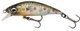 Brown Trout Smolt