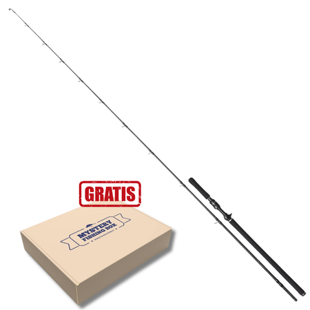 Wędka castingowa Westin W3 Monsterstick-T 3rd 236cm | 5XH | 130-260g