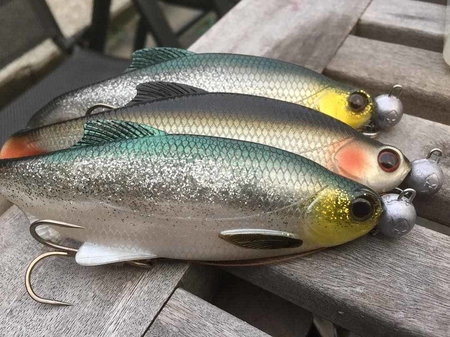 Zestaw Guma Westin Ricky the Roach ST 14cm | Headlight - 1szt + Dozbrojka Vis Vangen 2szt.