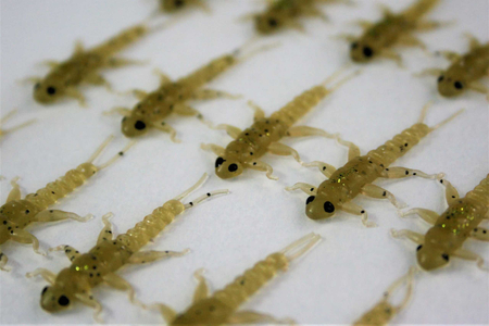 Przynęta FISHCHASER Widelnica / 3.5cm / 5szt. / Olive And Pepper