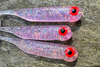 Guma Great Fish GF1 4,9cm | Glitter Pink | krewetkowy | 10 szt.