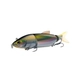 Brook Trout