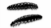 Przynęta Libra Lures Larva 4.5cm | 040 - Black | brak zapachu | 8 szt.