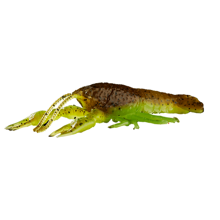 Guma Savage Gear Ned Craw 6,5cm | Green Pumpkin