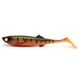 Orange Perch