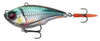 Przynęta Savage Gear Fat Vibes XL 12cm | Roach