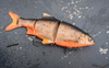 Przynęta Westin Ricky the Roach Inline 15cm | Real Rudd | wolno tonący