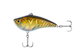 Brown Gold Tiger