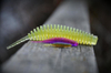Gumy FishUp Tanta 6,1cm | 2,5" | #048/Bubble Gum | 8szt.