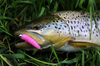 Przynęta Libra Lures Larva 3.5cm | 001 - White | brak zapachu | 12 szt.