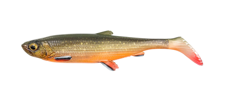 Guma Savage Gear 3D Herring Shad V2 21,5cm | ARTIC CHAR