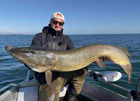 Guma Savage Gear 3D Whitefish Shad 27cm | Firetiger