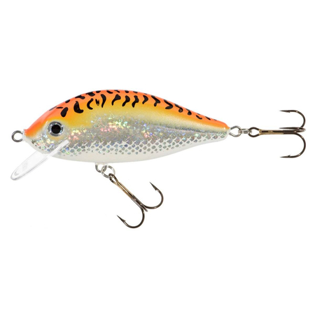 Wobler Jaxon Karaś 11cm | GFT | pływający