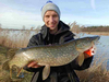 Guma Mikado Sicario Pike Tail 18cm Bloody Perch