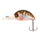 Oikawa Perch