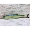 Guma SEWRO CUSTOM BAIT Ukleja 12.5cm- Zielona Naturalny Ogon
