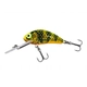 Gold Fluo Perch
