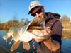 Guma Mikado MFT Roach 15cm Gold Roach