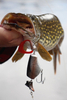 Headbanger Tail 23cm - Goldhead - Pływający