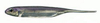 Fish Arrow Flash-J 3" - Lake Wakasagi/Silver #25 - 1 szt.