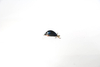 Wobler Murky Baits Bulwa 2,5cm | 2g | wolno tonący | BA14