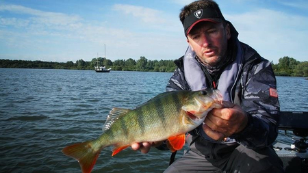 .Popper Salmo Rattlin Pop Real Hot Bluegill 7cm | pływający
