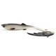 Bream