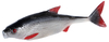 Guma SEWRO CUSTOM BAIT Płoć 19,5cm - naturalny ogon