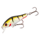 Green Perch