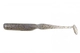 #440S Electric Shad